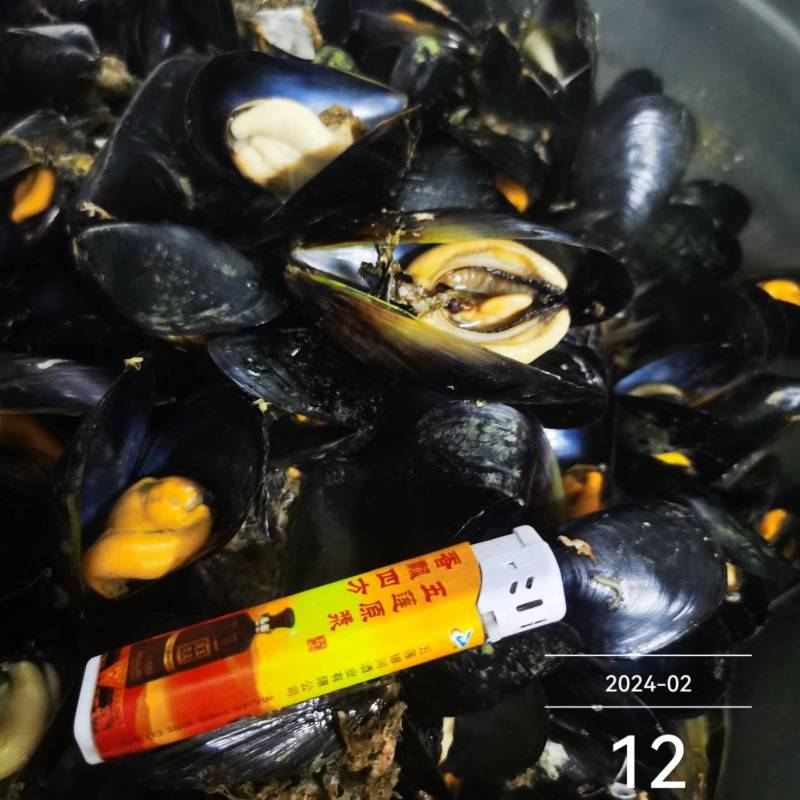 大家好，贻贝海虹开始出货了，一手货源，货源充足。支持市场