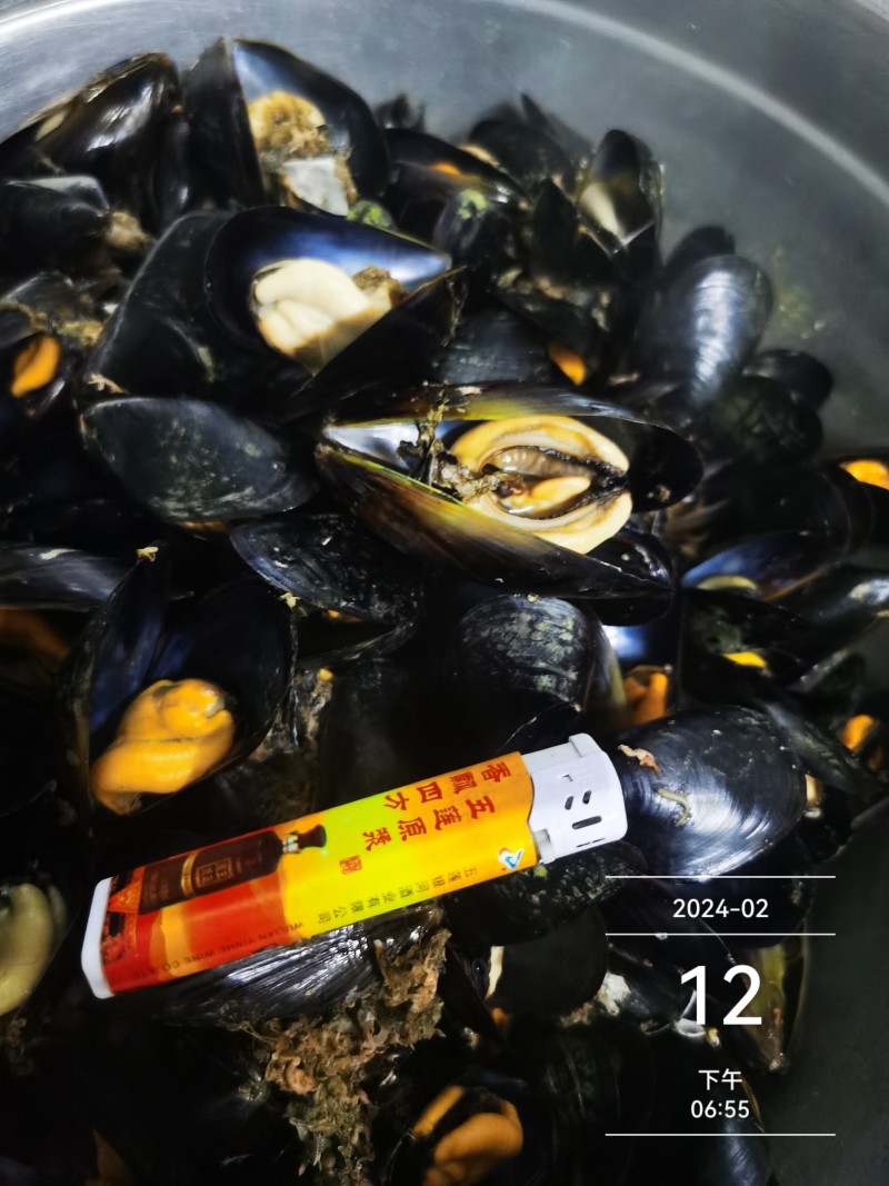 大家好，贻贝海虹开始出货了，一手货源，货源充足。支持市场