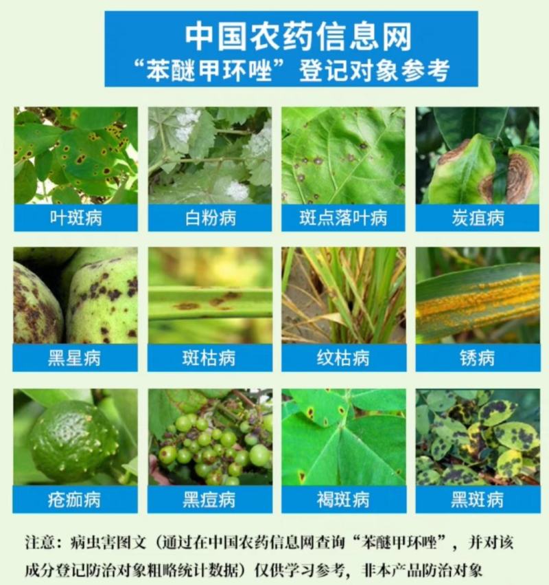 40%苯醚甲环唑杀菌剂防治叶斑病农药苯醚甲环唑农药农