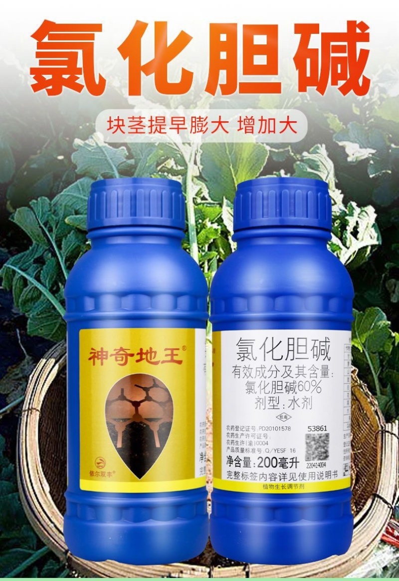 神奇地王60%氯化胆碱花生大蒜根茎块茎膨大生长调节剂包邮