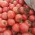平度硬粉西红柿大量上市中，熊蜂授粉价格美丽！欢迎各位老板