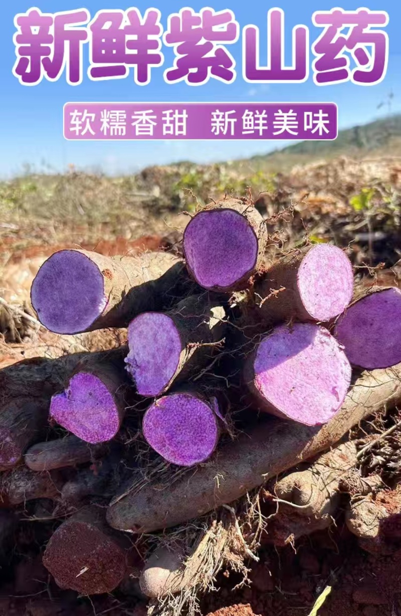 【好物推荐】赣南客家正宗紫山药紫人参新鲜脚板薯产地直销