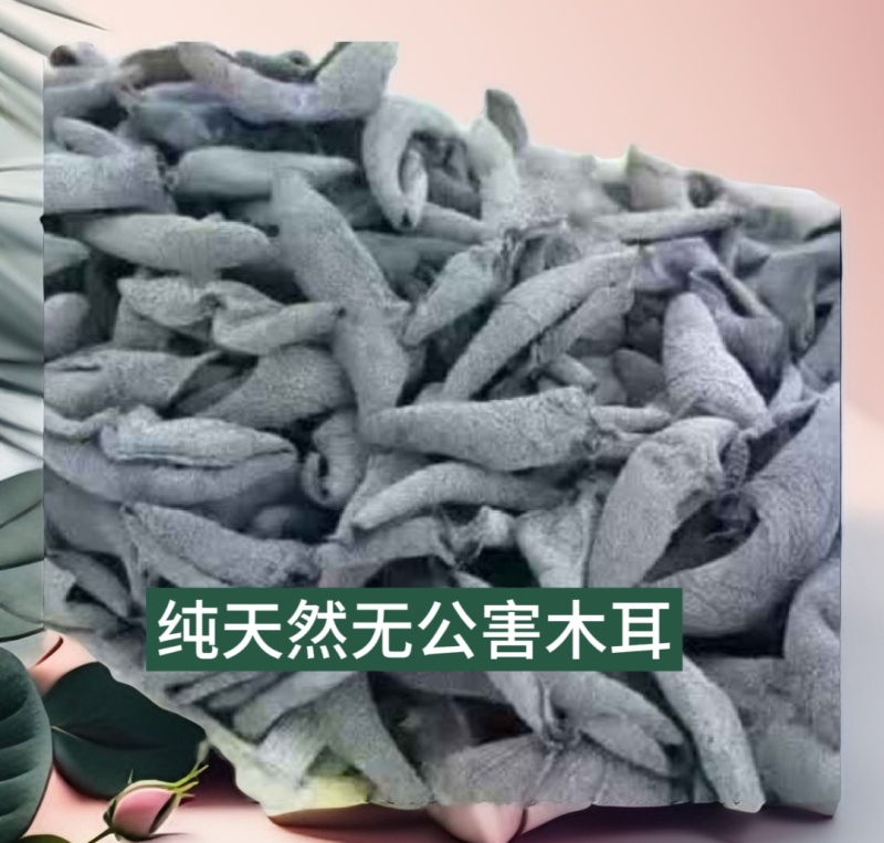长白山特产敦化景臣黑木耳，一手货源，品质保证，量大从优