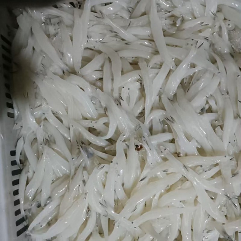 10-12一公斤110条左右