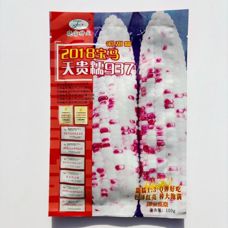 2018宝马天贵糯937玉米种子彩甜糯鲜食苞米甜加糯