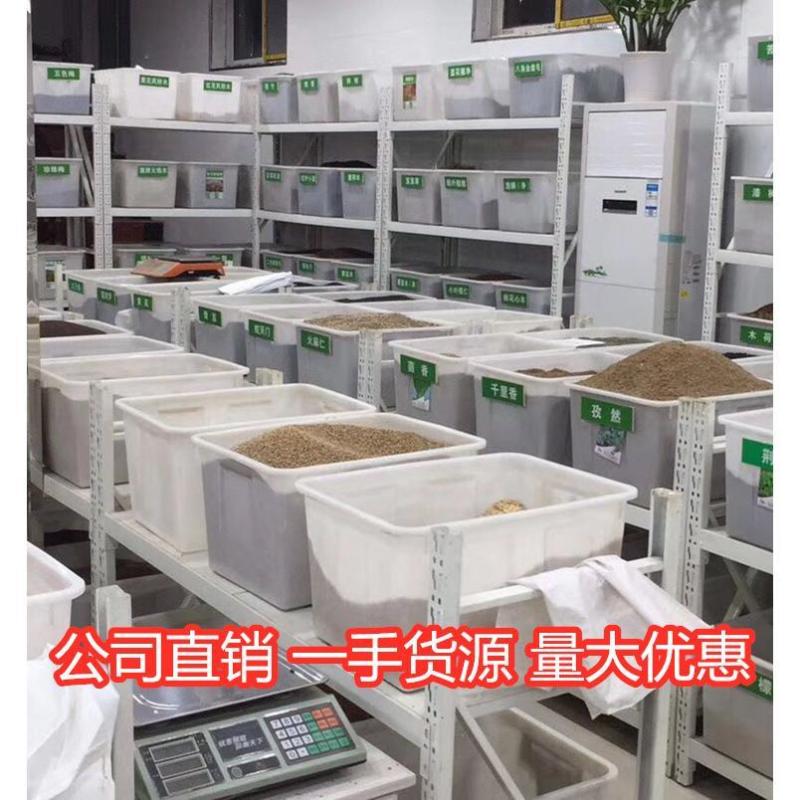紫羊茅种子进口耐寒耐寒耐践踏草坪种子庭院护坡林下观赏草坪