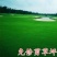 剪股颖草坪草籽进口种子矮生超矮耐寒耐旱耐踏免修剪庭院高档