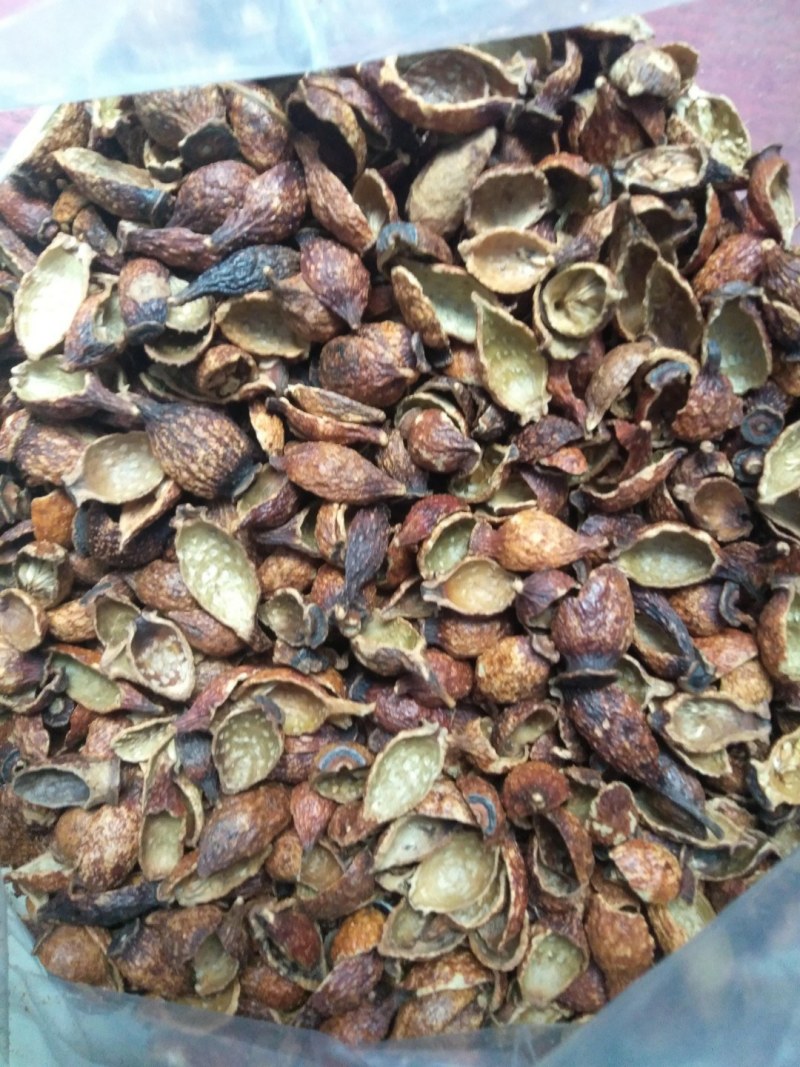 新鲜地胆草即采即发货