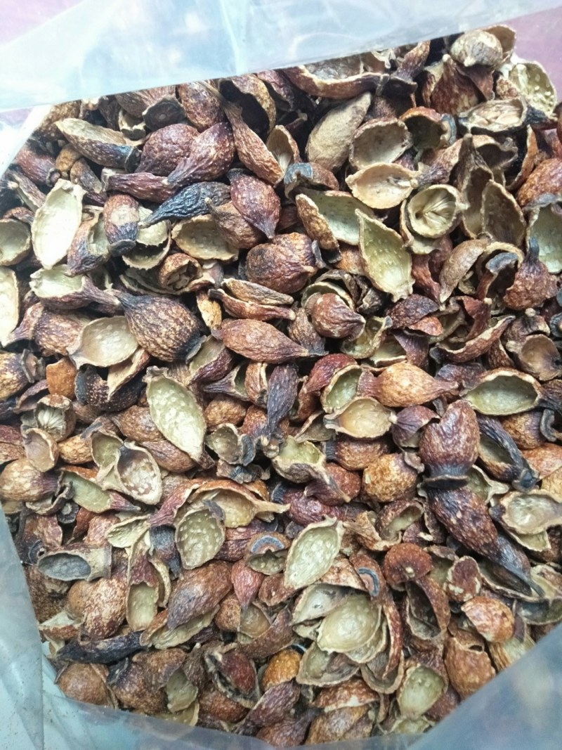 新鲜地胆草即采即发货