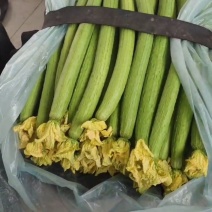 供应电商，超市，市场！电商丝瓜，**多多买菜，美团优选