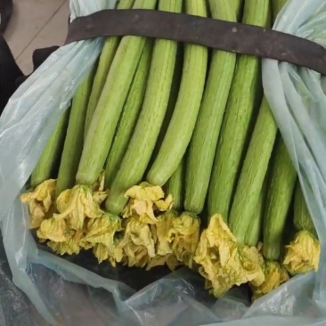 供应电商，超市，市场！电商丝瓜，**多多买菜，美团优选