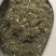 艾草种子艾叶香草四季遏草驱蚊阳台盆栽泡澡青团香艾绒籽