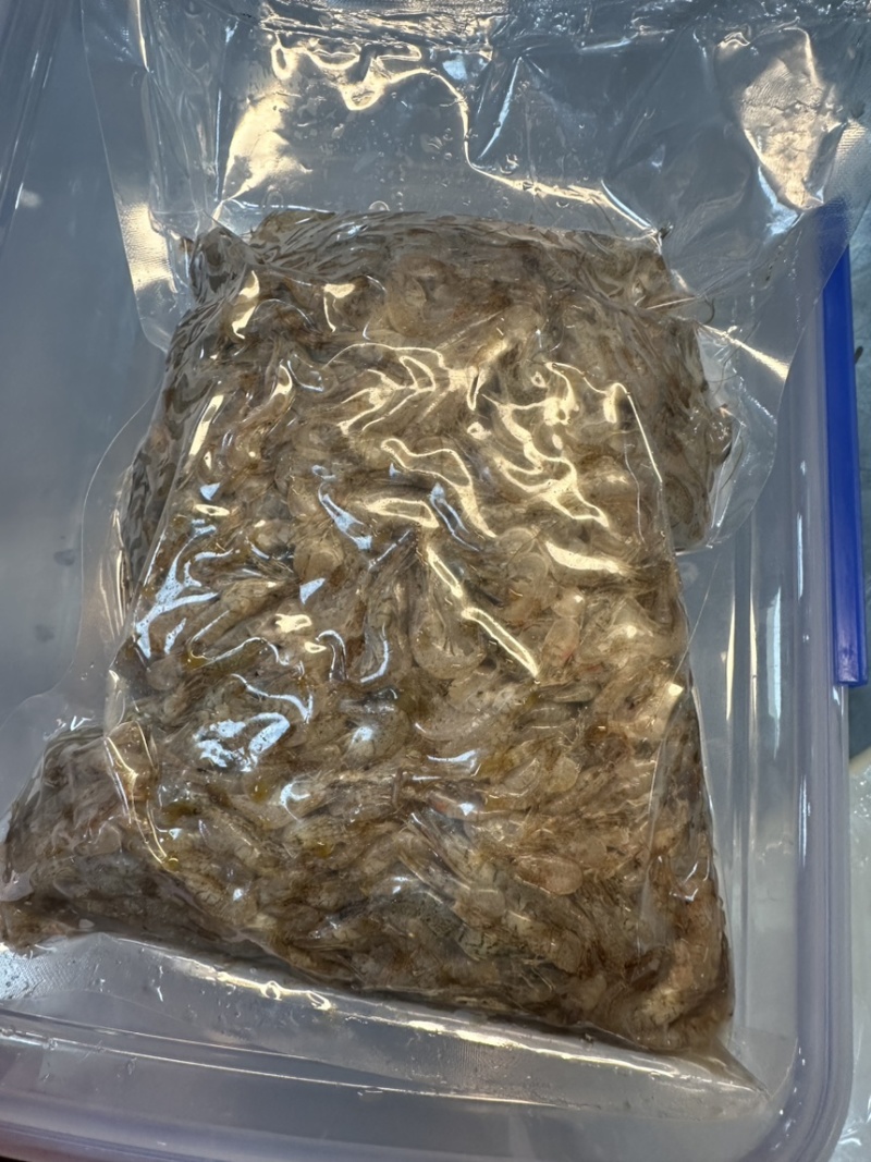【推荐】鲜冻小河虾产地直发，自然水域生态捕捞，量大从优