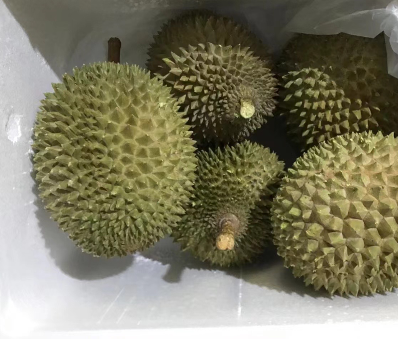 液氮马来西亚猫山王D197对接电商平台一手货源
