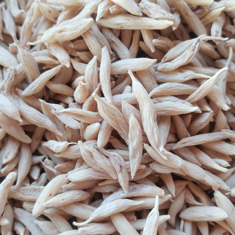 麦冬，纯野生川麦冬无熏硫自然晒干，产地直销发货