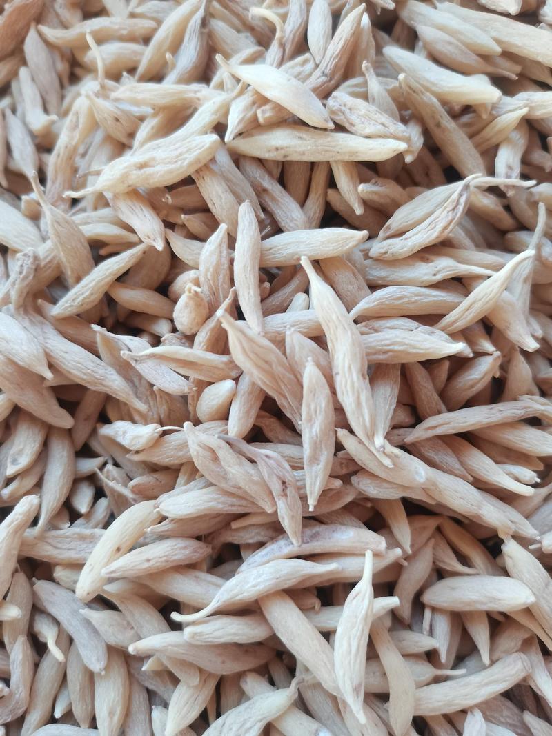 麦冬，纯野生川麦冬无熏硫自然晒干，产地直销发货