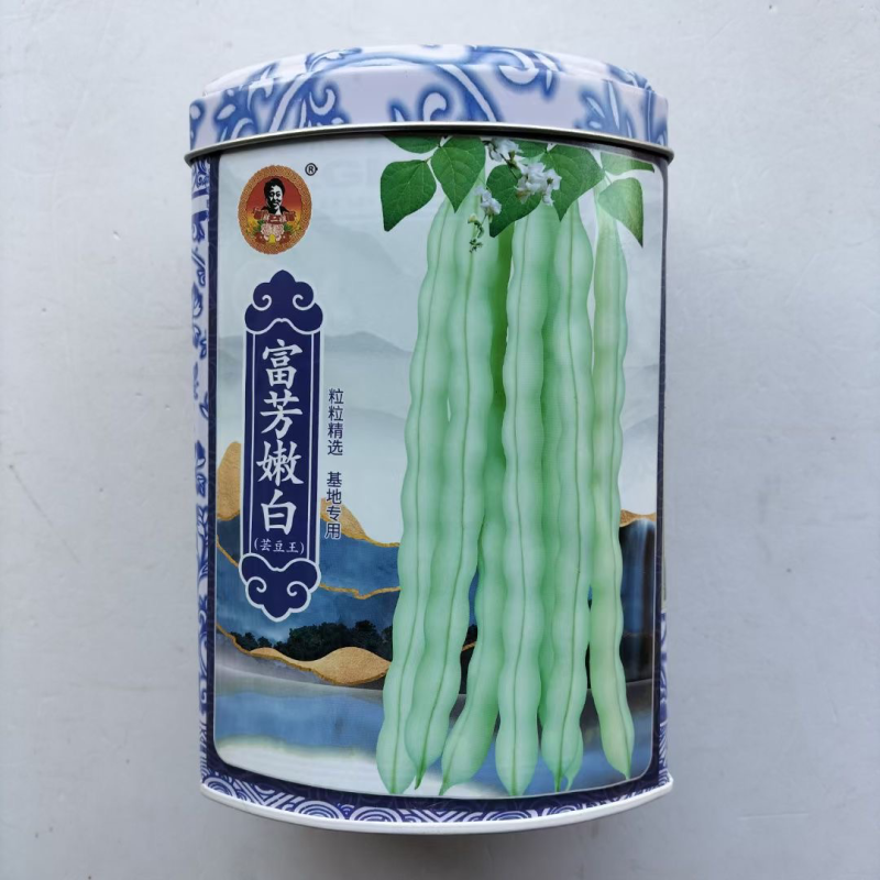 富芳嫩白架豆种子九粒白芸豆籽不老加杂交选育大型白菜豆