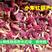 【红菇新货】野生红菇原产地包邮，挑选红菇月子香甜野生红菇