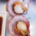 刺贝（扇贝）