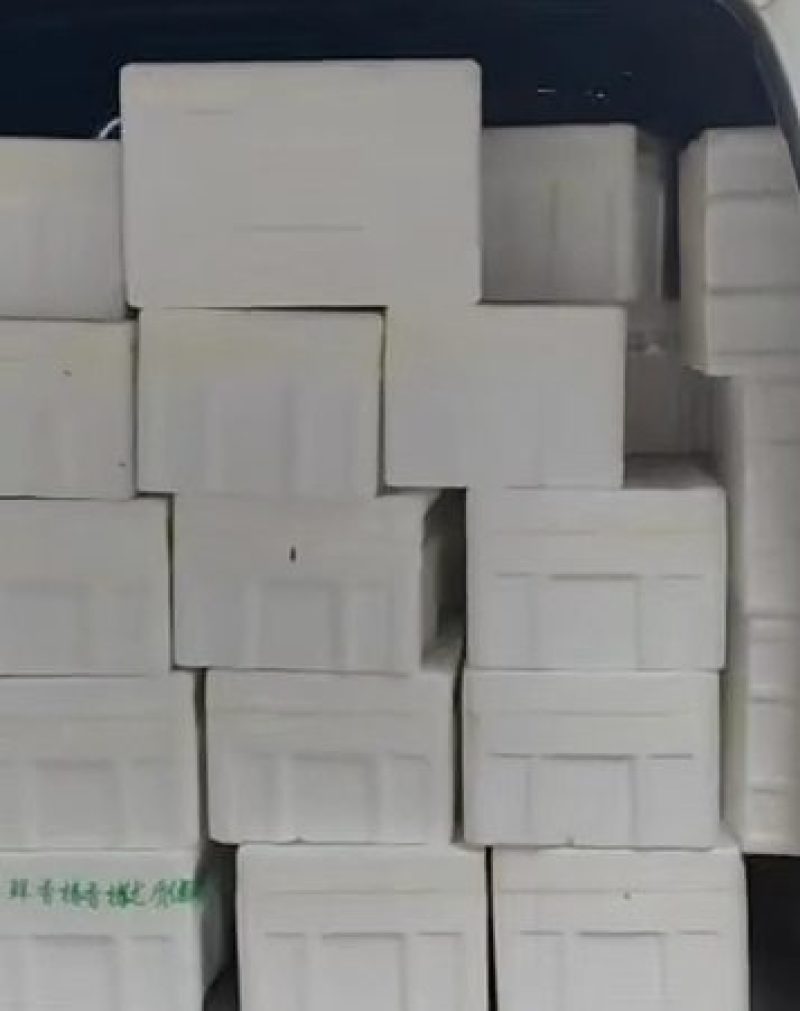 路天鲜香椿
