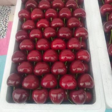 [樱桃]山东红灯，美早樱桃大量上市，品种齐全，全国发货