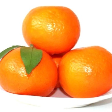 重庆沃柑