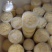 蜂王浆送礼养生佳品