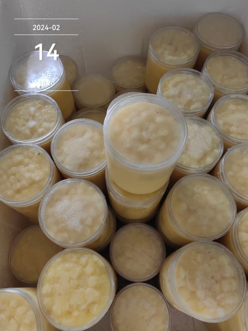 蜂王浆送礼养生佳品