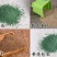 进口狗牙根种子匍匐茎种籽四季常青护坡草籽耐旱耐践踏籽草坪
