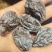 新疆喀什西梅干，包邮，天然，没有添加加工，自然晒干