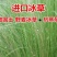 冰草种子羽牧草护坡牧草种籽工程绿化防风沙固土耐寒耐旱草籽
