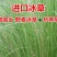 冰草种子羽牧草护坡牧草种籽工程绿化防风沙固土耐寒耐旱草籽