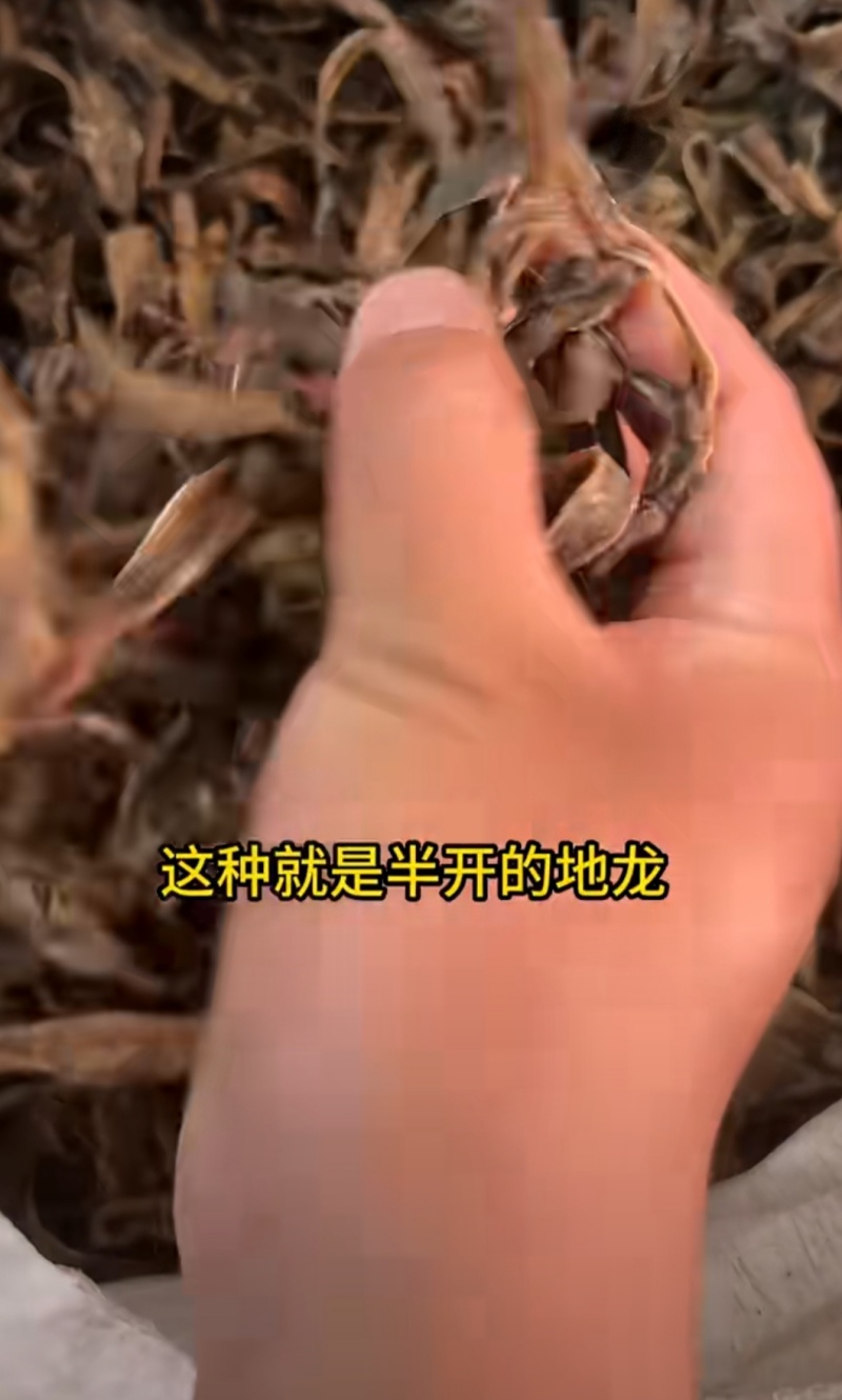 中药材
