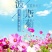 波斯菊格桑花种子护坡野花种子多色四季易种易活景区观赏花草