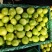 广东雷州青枣牛奶枣，大量供应市场电商，实力代办，全国代发