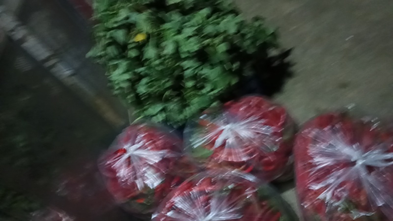 高山精品甘蓝，牛心甘蓝，线椒，芜湖椒，甜玉米