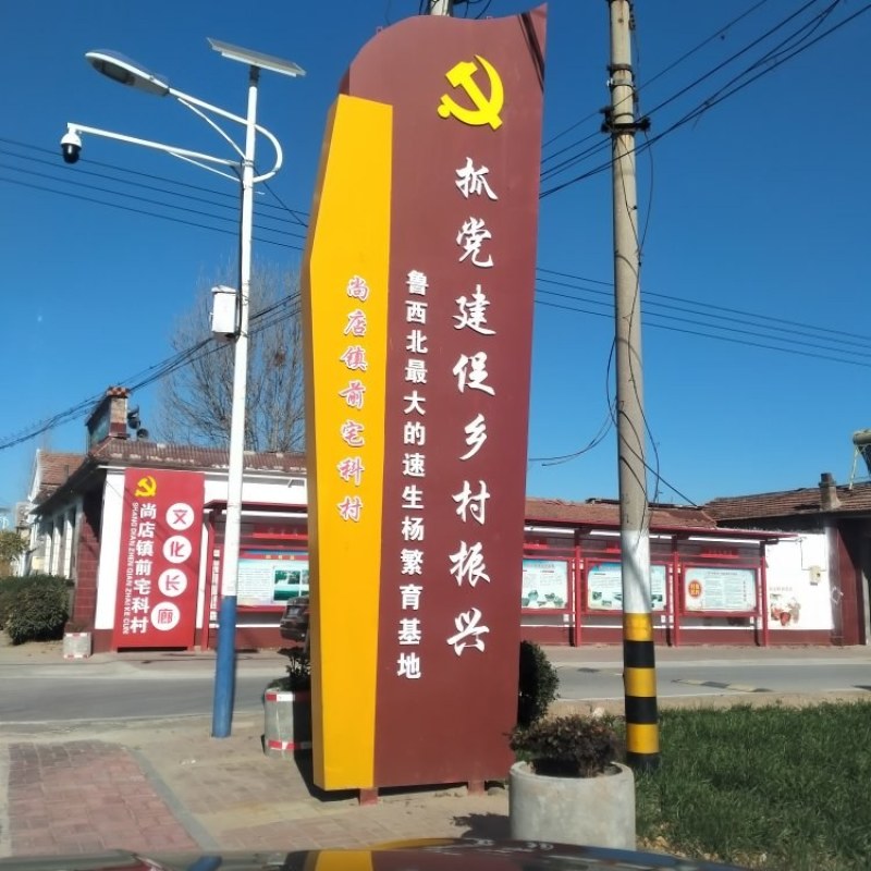 速生杨无絮杨基地