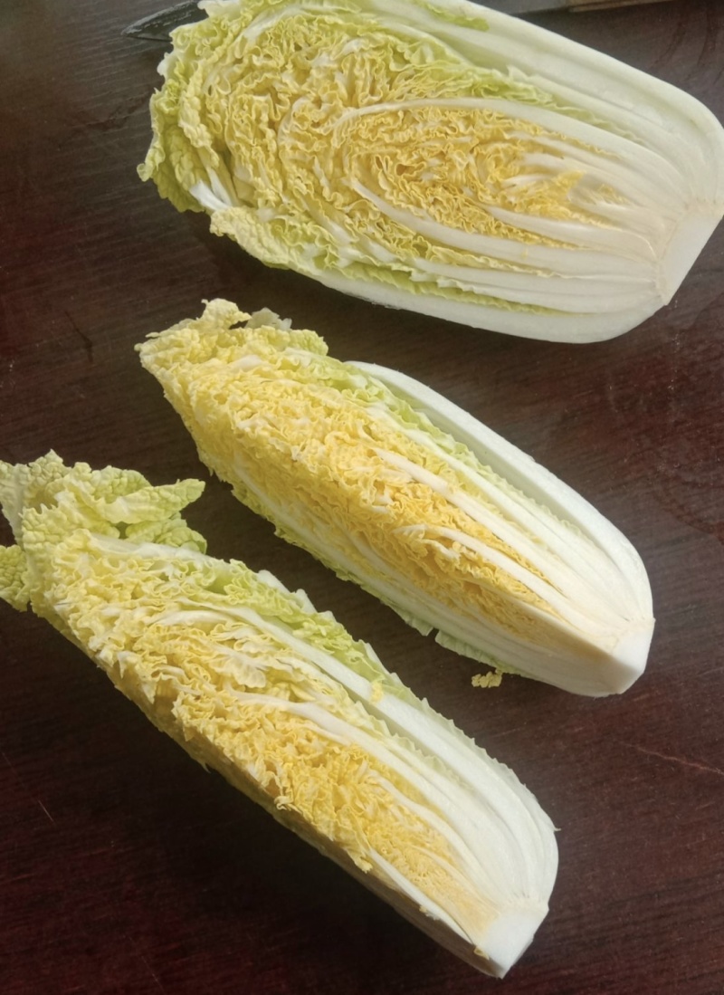 黄心娃娃菜河北张家口张北县娃娃菜产地批发