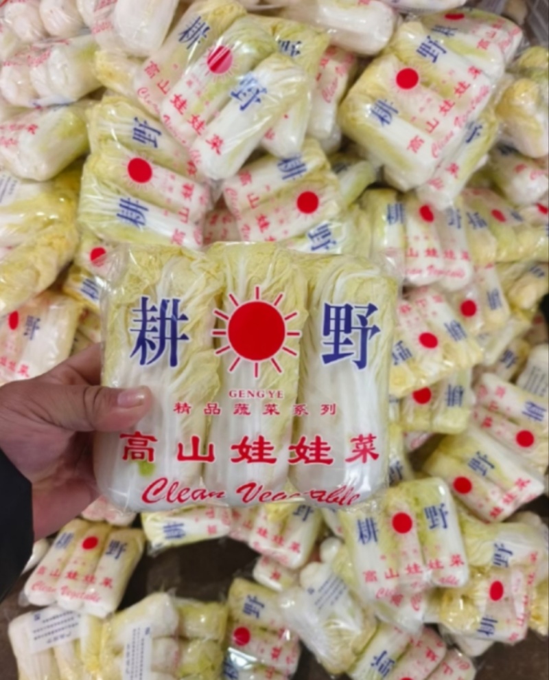 黄心娃娃菜河北张家口张北县娃娃菜产地批发