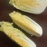 娃娃菜黄心娃娃菜小娃娃菜