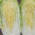 玲珑黄黄心娃娃菜