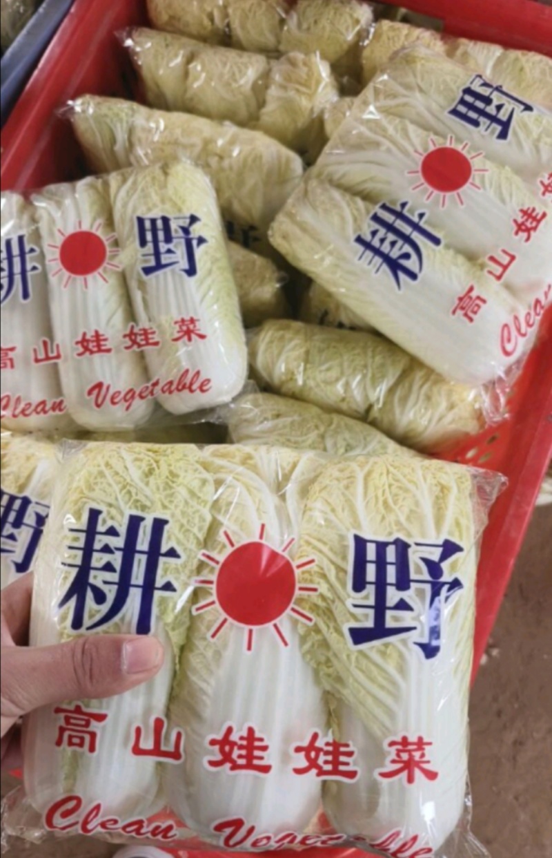 玲珑黄黄心娃娃菜