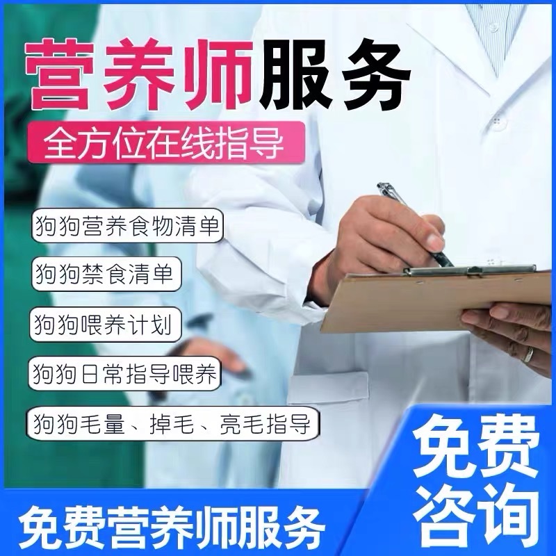 纯种爆红马犬活体狗狗看家护院放牧牛羊伴侣犬全国可发货