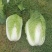 黄心大白菜