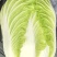 沽源黄心大白菜