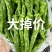 精品陇椒
