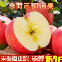 【冰糖心】陕西洛川苹果当季新鲜水果10斤批发孕妇爆甜苹果
