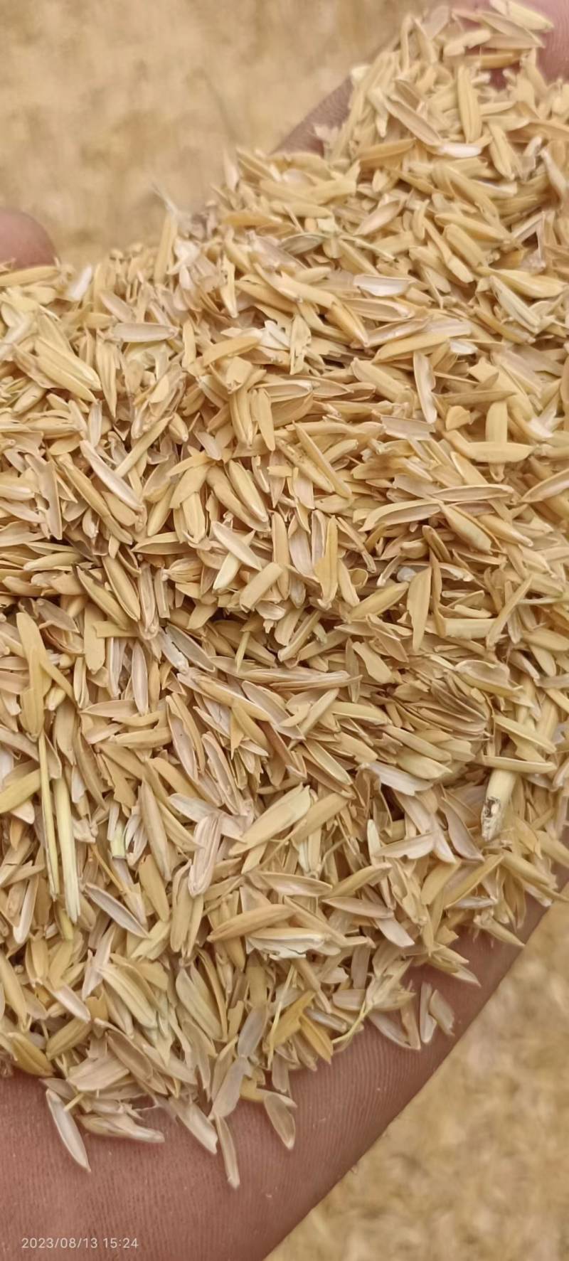 新鲜米糠，营养丰富，健康美味！