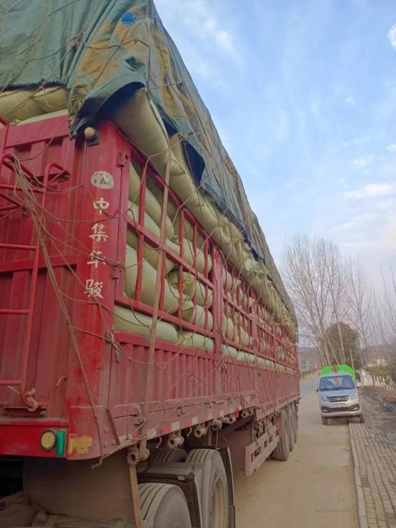新鲜米糠，营养丰富，健康美味！