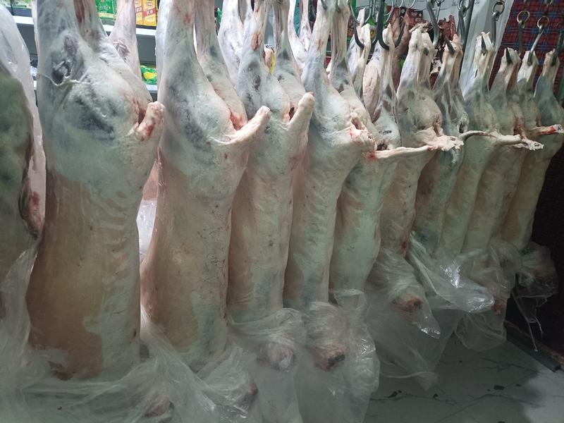 【推荐】宁夏银川精品羊肉大量供应品质保证诚信经营